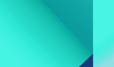 Les Élections Législatives de 2027 : Premiers Signes et Stratégies des Partis Politiques en 2025.