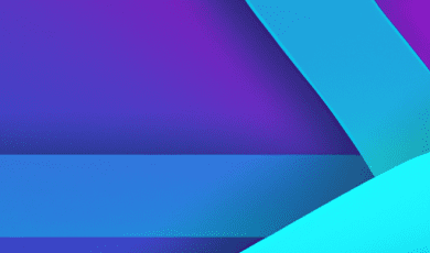 Bringing Transparency to Government: Video Remote Interpretation for Public Briefings